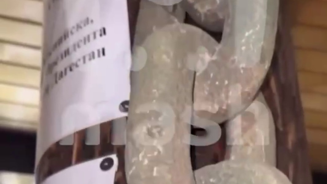Mash: Бесшовную цепь возрастом более трех тысяч лет обнаружили в горах Дагестана