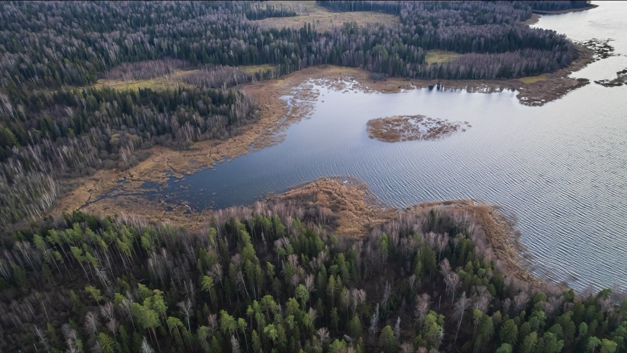 Тонущую школьницу спасли в акватории Истринского водохранилища — ТАСС