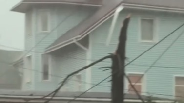 Более 40 тысяч жителей Ленобласти остались без электричества после урагана