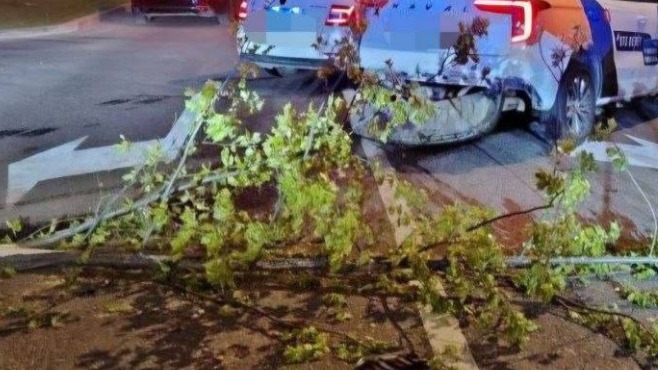 Водитель каршеринга сбил дерево на бульваре Яна Райниса в Москве: сколько хотят взыскать с водителя