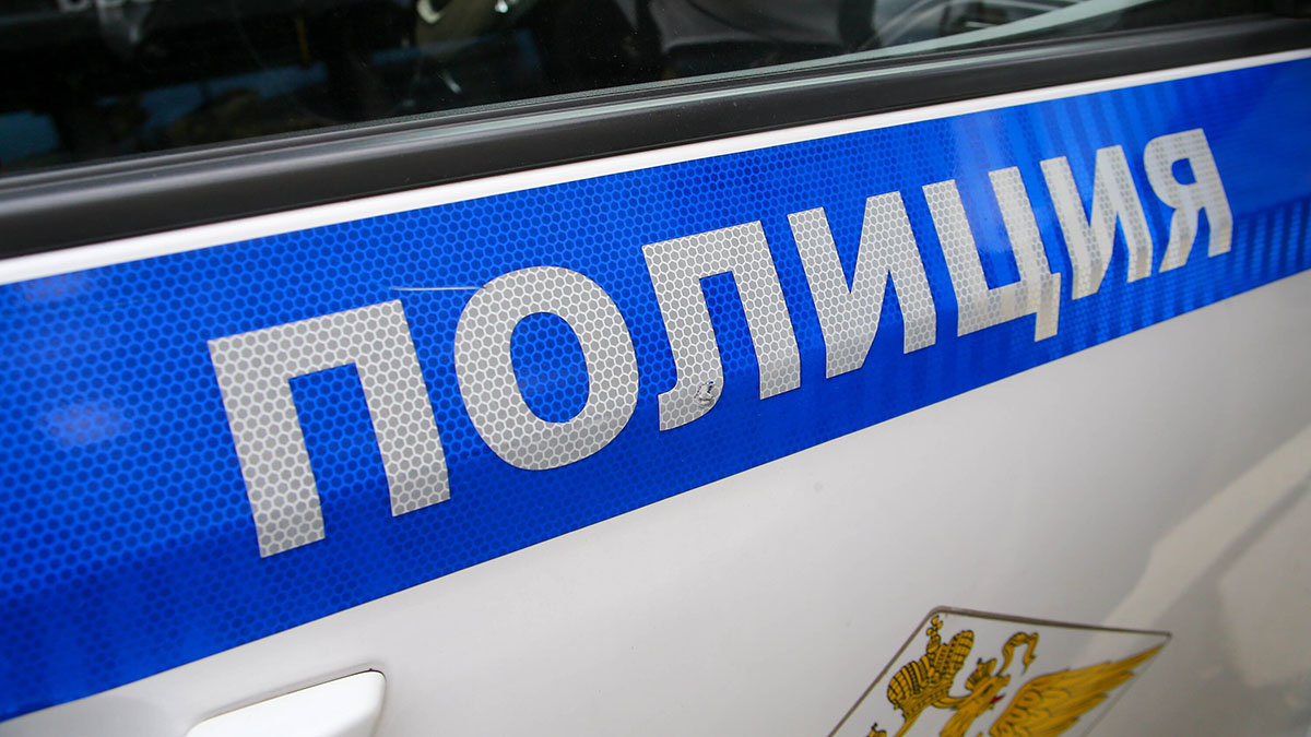 Полиция проводит проверку из-за видео с избиением пожилого мужчины в Домодедове