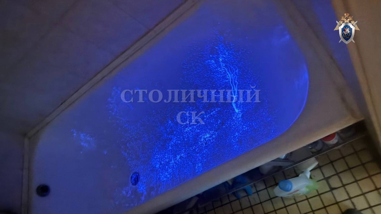 Житель Москвы убил отца и сжег его тело в лесополосе