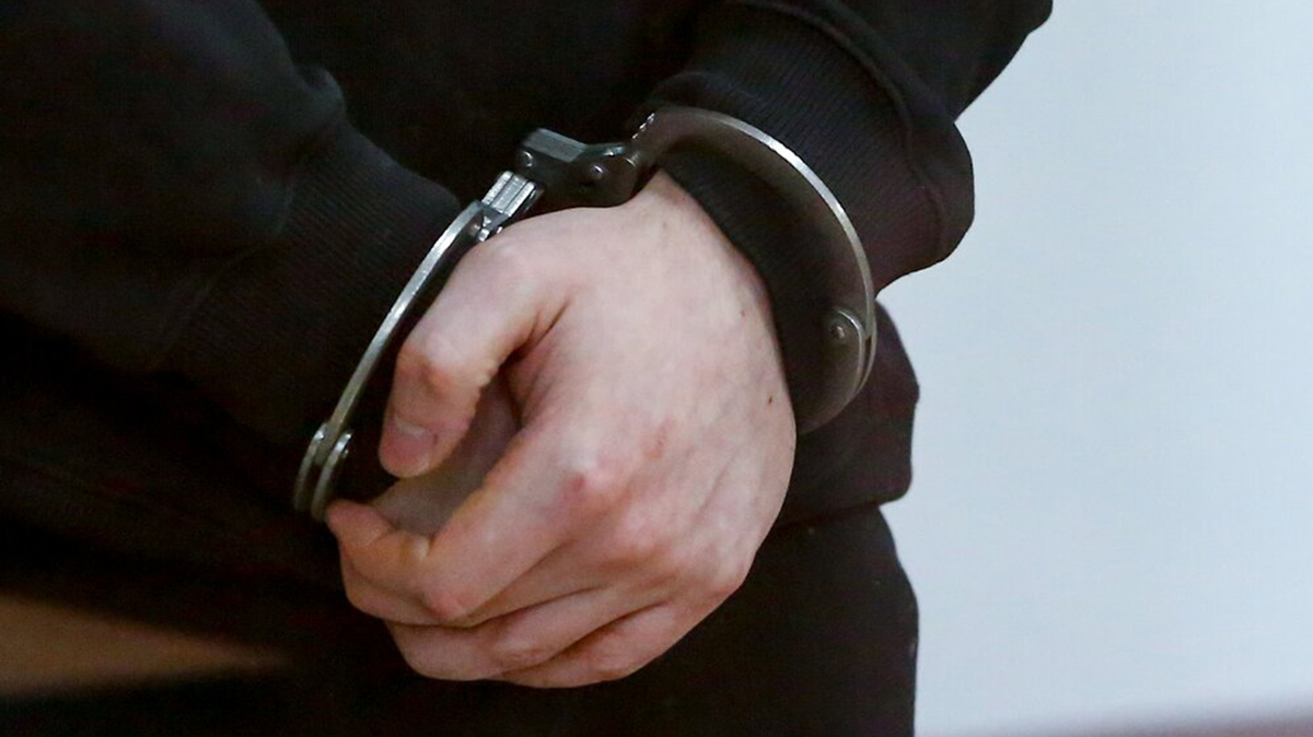 Подозреваемого в избиении ученого Зезина заключили под стражу