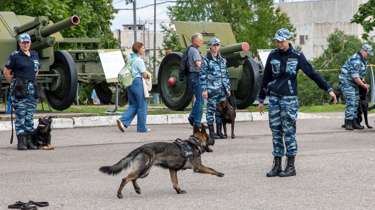 В Музее Победы пройдет X семейный фестиваль «День фронтовой собаки»
