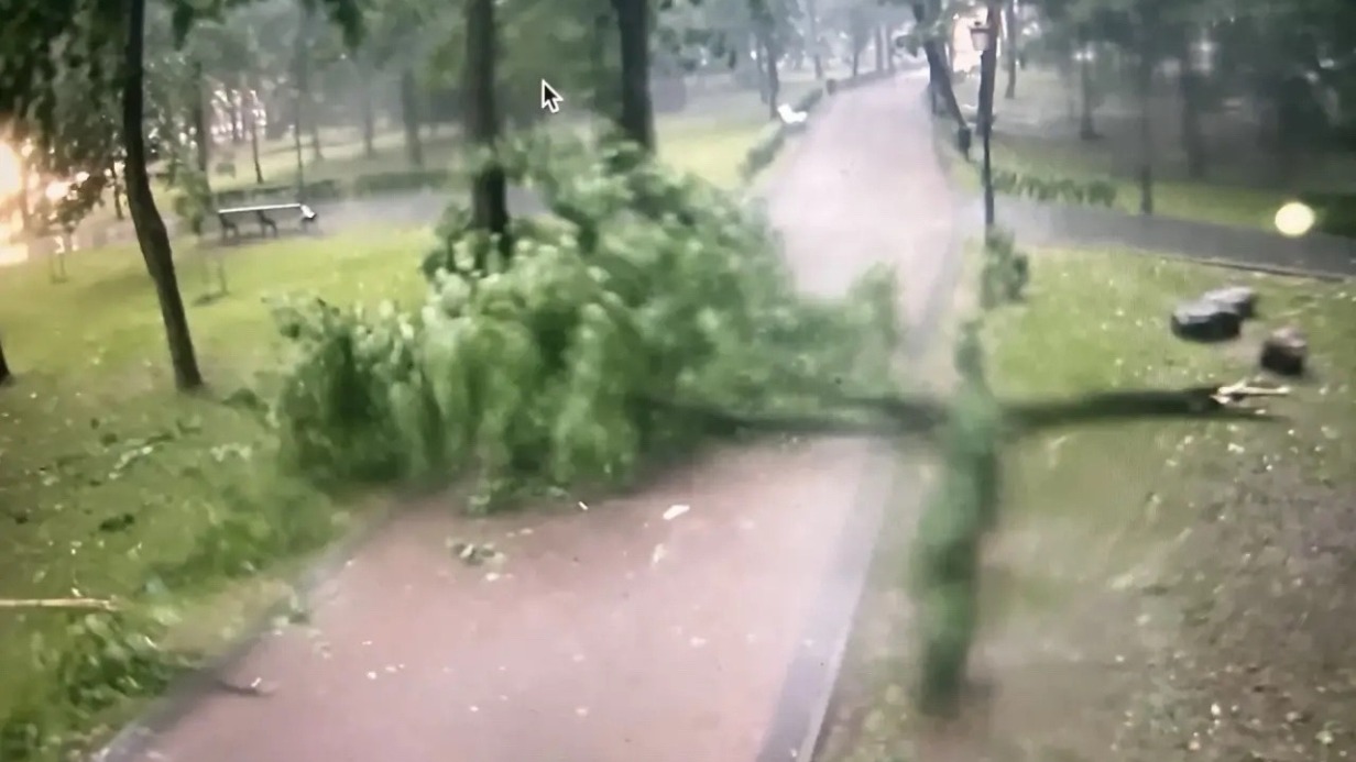 Ребенок и женщина погибли во время урагана в Смоленске