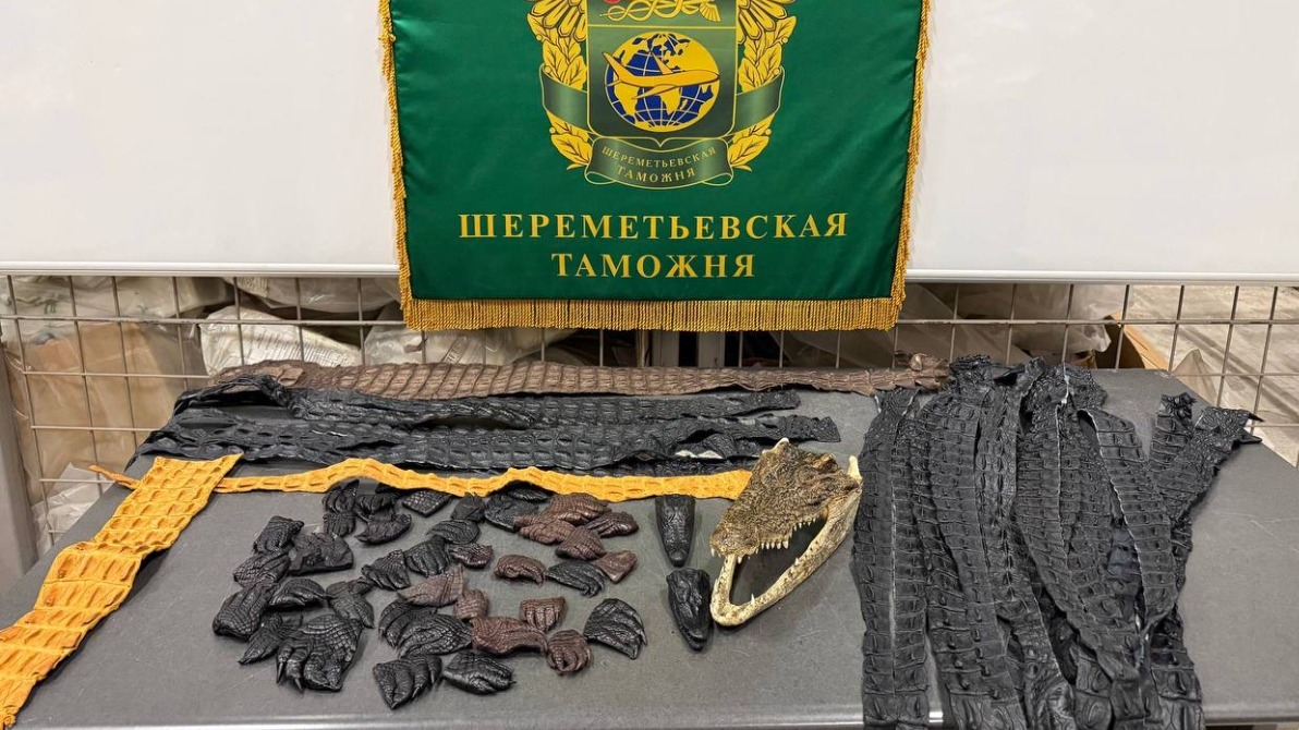 Таможенники в Шереметьеве обнаружили 64 части крокодила в багаже пассажира из КНР