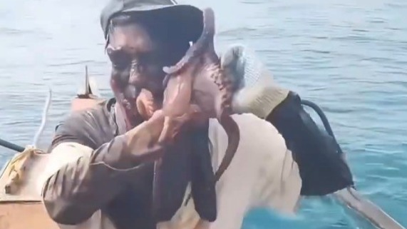Осьминог вцепился в рыбака на Филиппинах и попытался содрать с его лица кожу