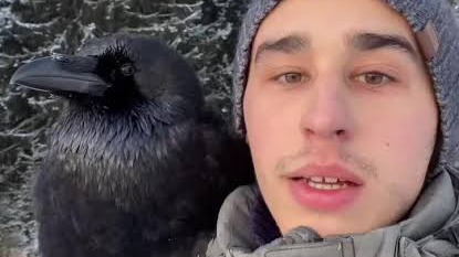 Хозяин ворона Гоши, блогер Александр Чугайнов скончался в Прикамье