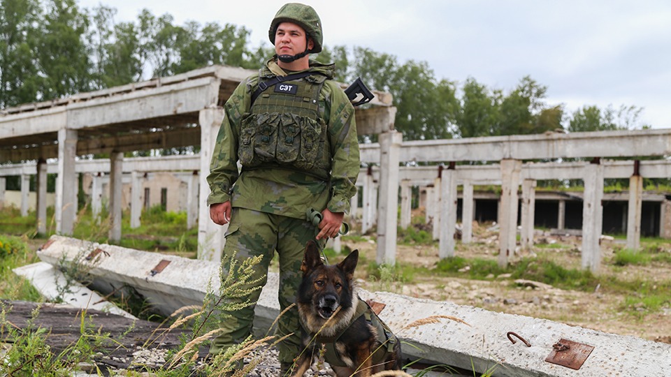 8 августа. Вожатый служебных собак 1-й гвардейской инженерно-саперной бригады Михаил Бурцев вместе со своей служебной овчаркой по кличке Сэт на тренировочном полигоне