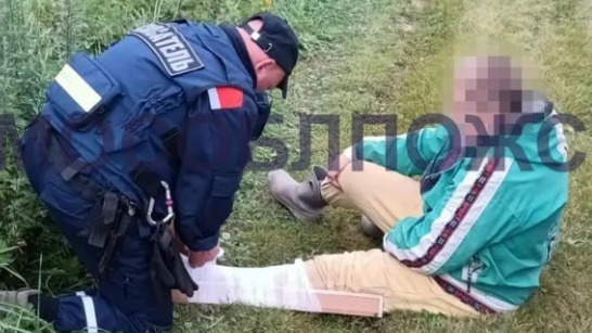Змея укусила пенсионерку в лесу под Сергиевым Посадом