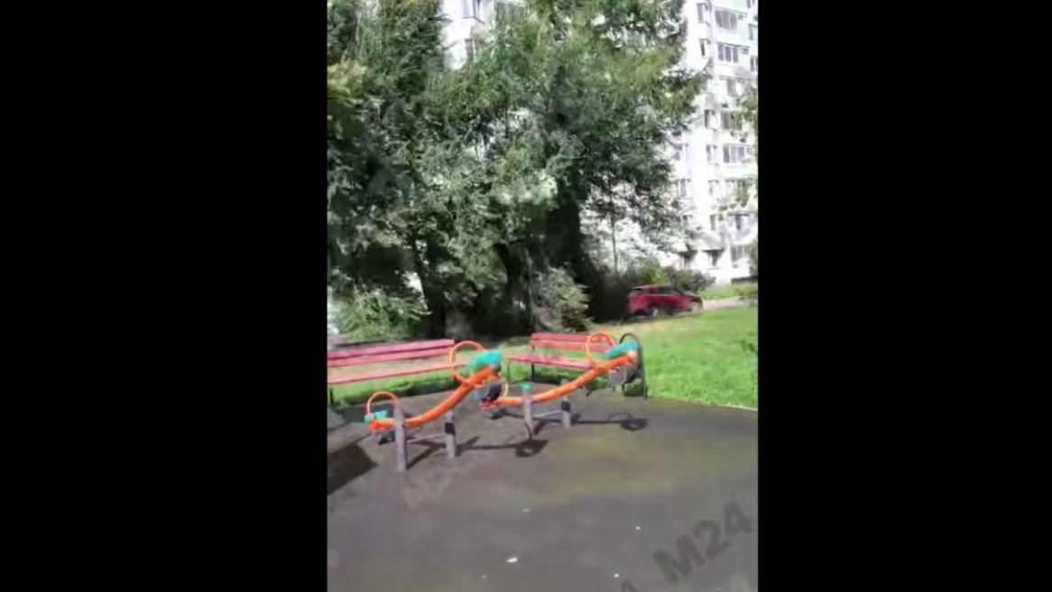 Сильный ветер начал валить деревья в Москве