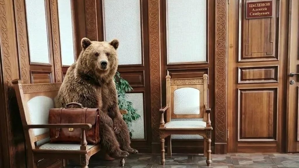 Глава Бурятии пошутил про «медведя в приемной» на фоне частых нападений хищников