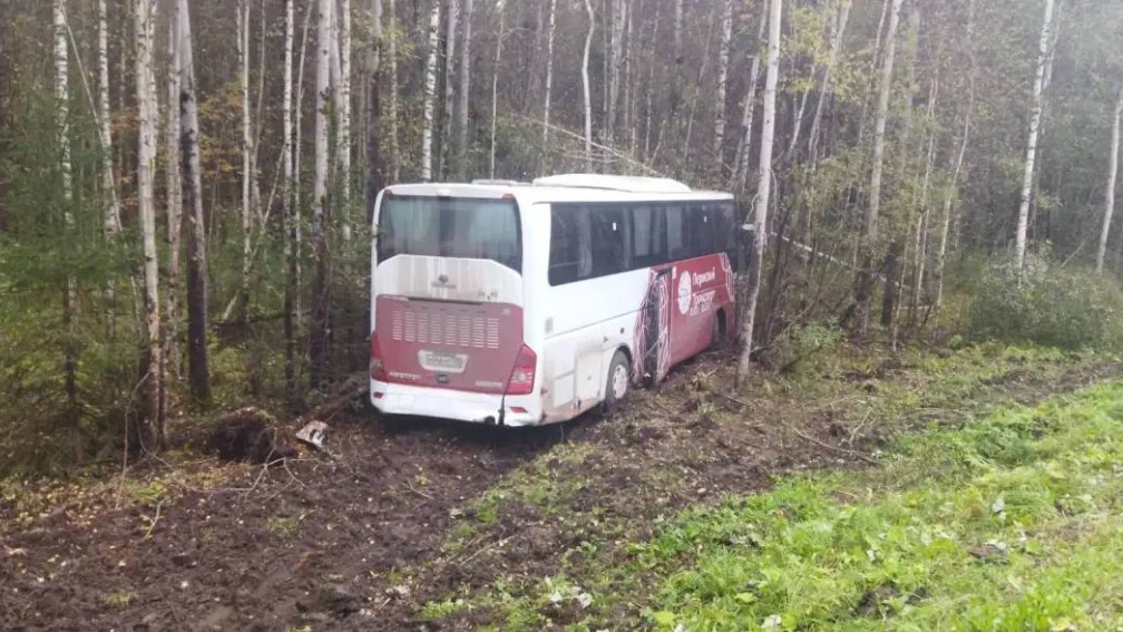 Один человек погиб, 20 пострадали в ДТП с рейсовым автобусом в Пермском крае