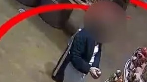 Женщина украла две матрешки из Duty Free в Домодедове: фото, видео