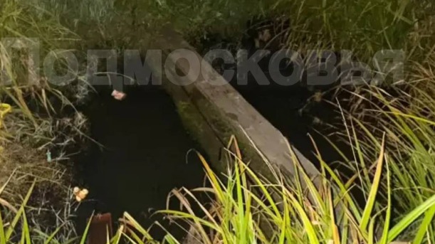 Трехлетний мальчик утонул в поселке Дорохово 16 сентября: СК возбудил дело