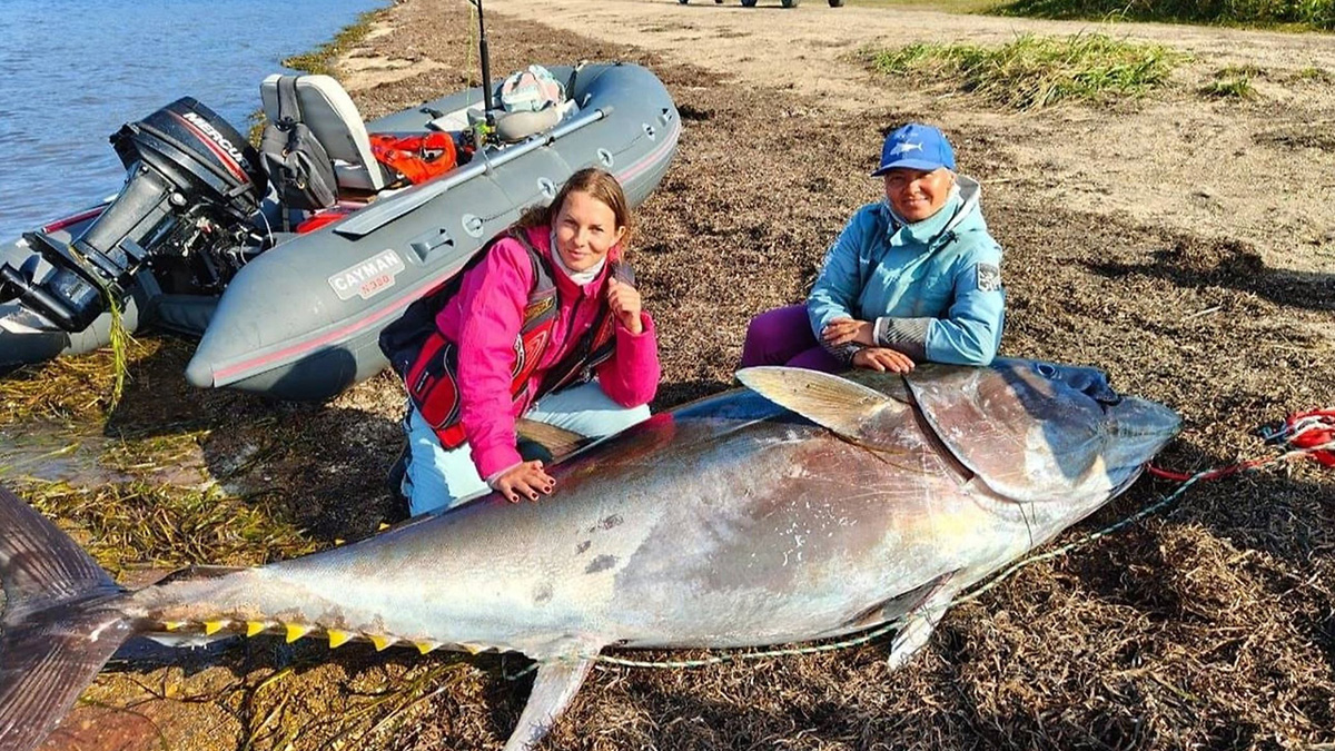 Две женщины поймали тунца весом 285 килограммов на Сахалине