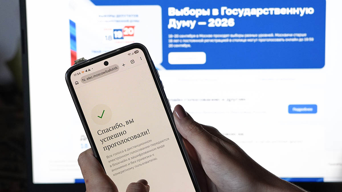 Эксперт Орлеанская: ДЭГ является одним из главных способов голосования в Москве