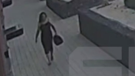 Екатеринбуржцы спасли рыжего котенка, выброшенного в мусорный контейнер у ЖК