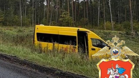 Микроавтобус вылетел с дороги
