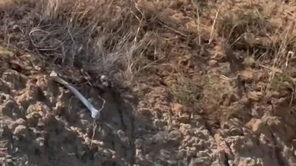 Человеческие останки со старого кладбища вынесло на берег Дона в Ростовской области