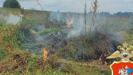 Дикорастущую коноплю уничтожили в поселке Белоомут