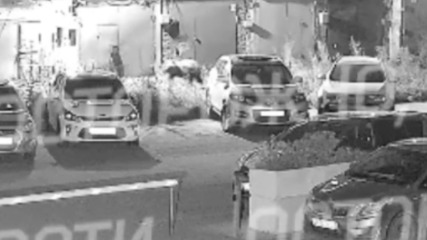 Медведя заметили во дворе жилого комплекса в Кемерове