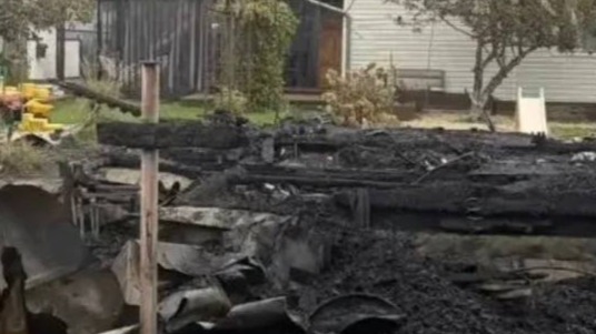 Женщина и ребенок погибли при пожаре в СНТ «Станкоагрегат»: СК возбудил дело