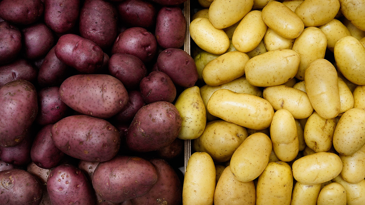 Картофель стал самым подешевевшим продуктом в России в сентябре