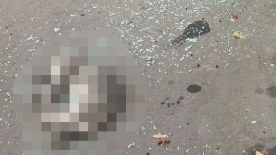 Мужчина выбросил кошек из окна 20-го этажа дома в Москве: правоохранители начали проверку 
