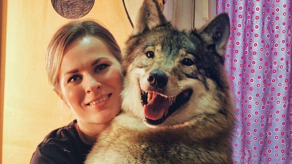 Дрессировщица театра «Уголок дедушки Дурова» Ирина Сидорова со своим подопечным — волком Степой 