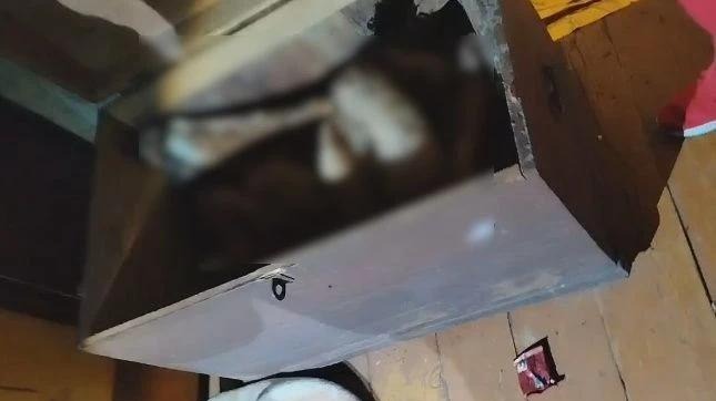 Тело убитой в Брянской области женщины восемь месяцев пролежало в сундуке