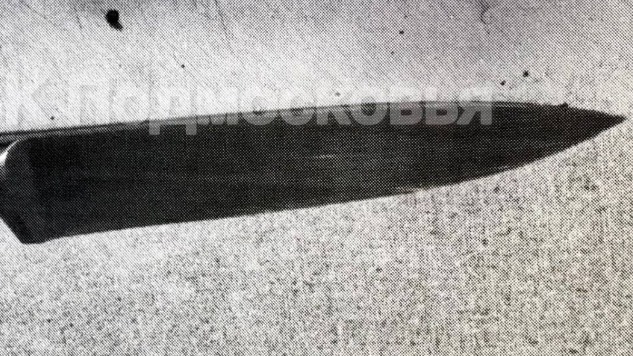 Мужчина и женщина пытались убить знакомого в подмосковном Ликине-Дулеве