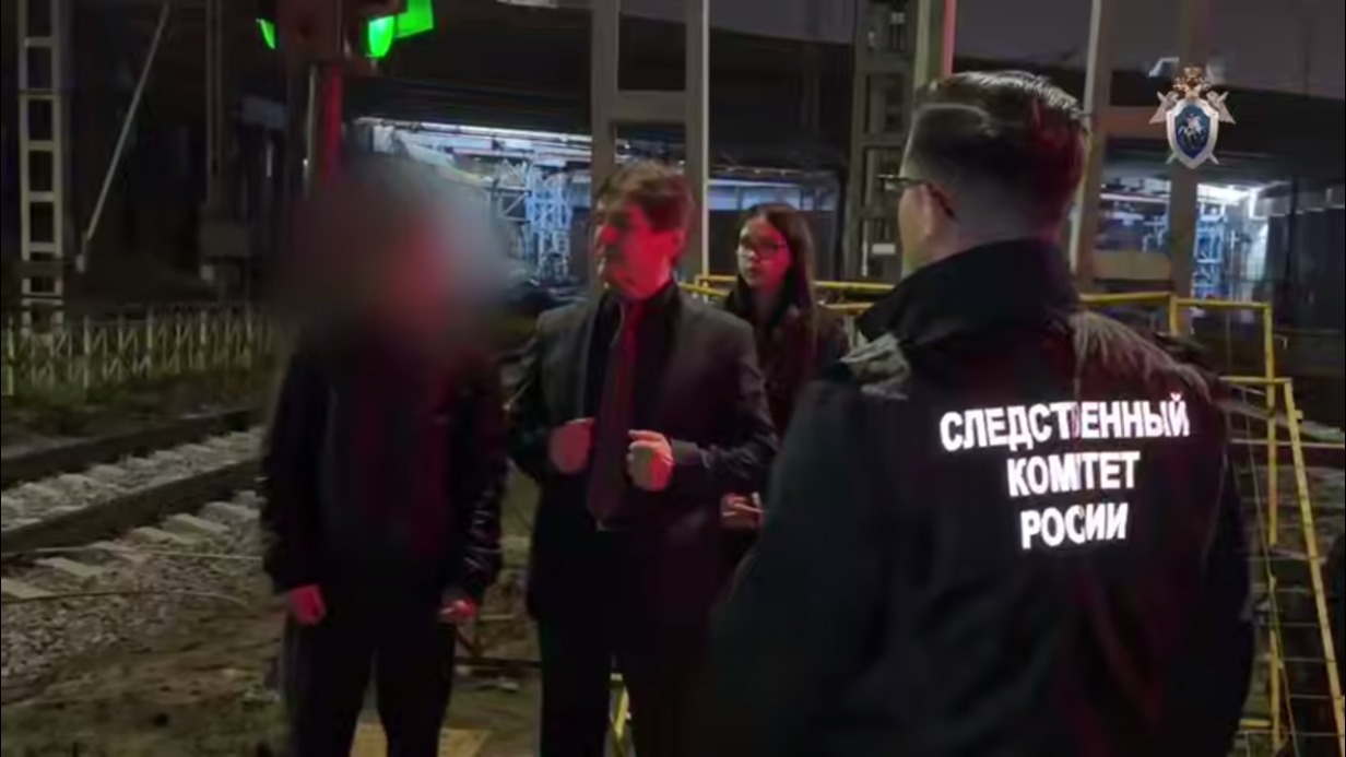 Полиция задержала москвича, бросившего кирпич в электричку в Подмосковье