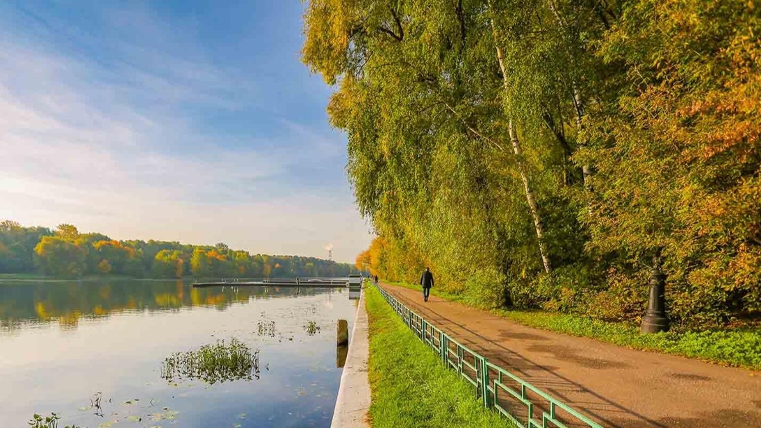 В Москве провели обследование особо охраняемых зеленых территорий