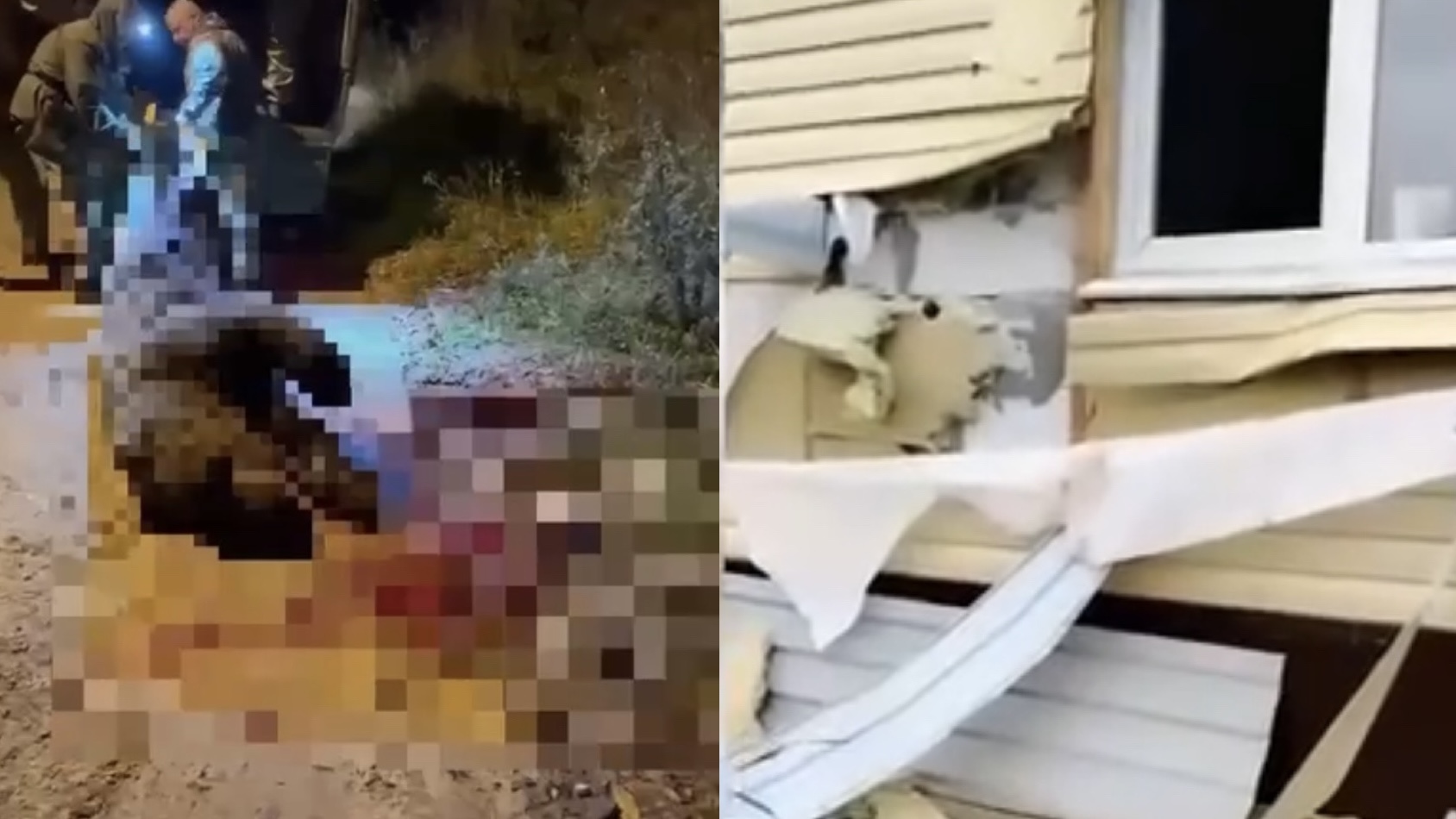 Медведь ворвался в дом пенсионерки в ХМАО