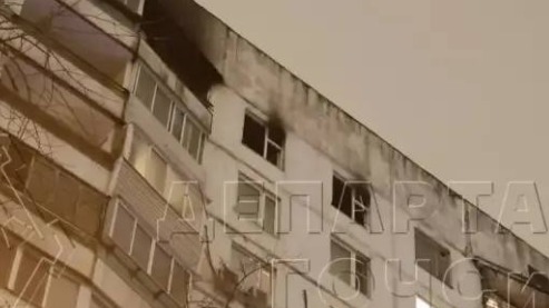 Пожар в квартире в 1-м Стрелецком проезде в Москве 18 октября: погибли восемь собак