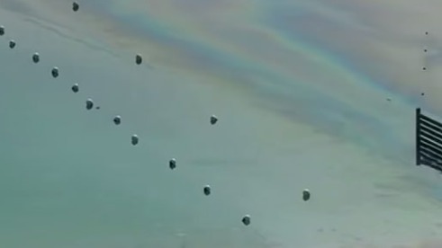 Россияне покрылись сыпью после купания в море в ОАЭ, где произошел разлив нефти