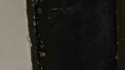 В Москве женщине запретили содержать дома животных из-за концентрации аммиака