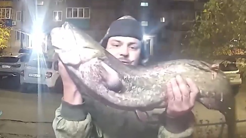 Рыбак из Орска похвастался уловом через видеодомофон среди ночи