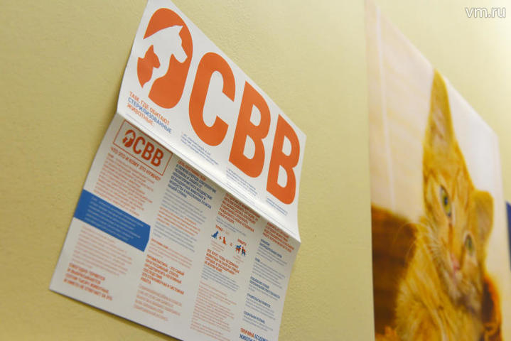 Для кого-то отдать несколько тысяч рублей за стерилизацию питомца невозможно