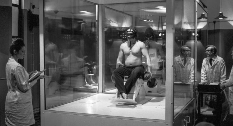 Однако в этой истории вы не единственный персонаж и не знаете, что будут делать другие