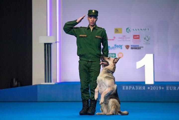 Это не первые показательные выступления военных кинологов и их служебных собак на крупнейших соревнованиях в столице