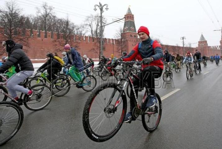 Выражение «Движение — это жизнь» возникло не просто так
