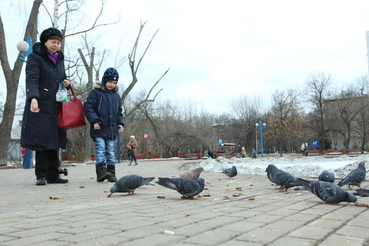  Следующие выходные снова принесут в столицу заметное потепление. На фото: Любовь и Иван Васильевы