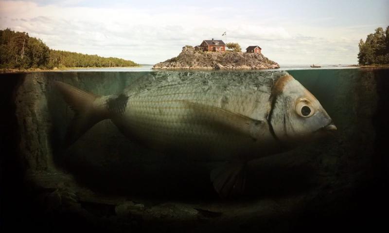 Фото Эрика Йоханссона 