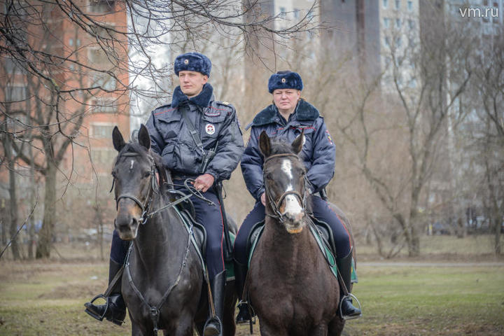 Конная полиция. Сержант Владислав Никитенко и капитан Прохоренко Елена