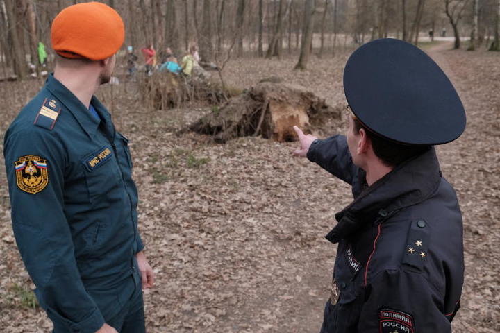В погожий субботний денек желающих отдохнуть в Тимирязевском парке с шашлыками немало