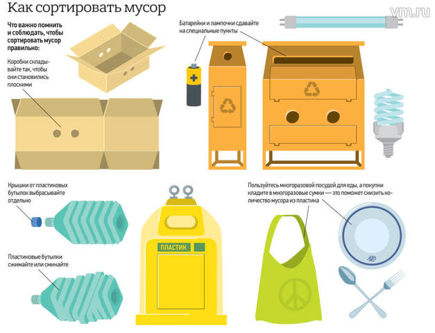 Правила деления в каждый дом: как сортировать мусор